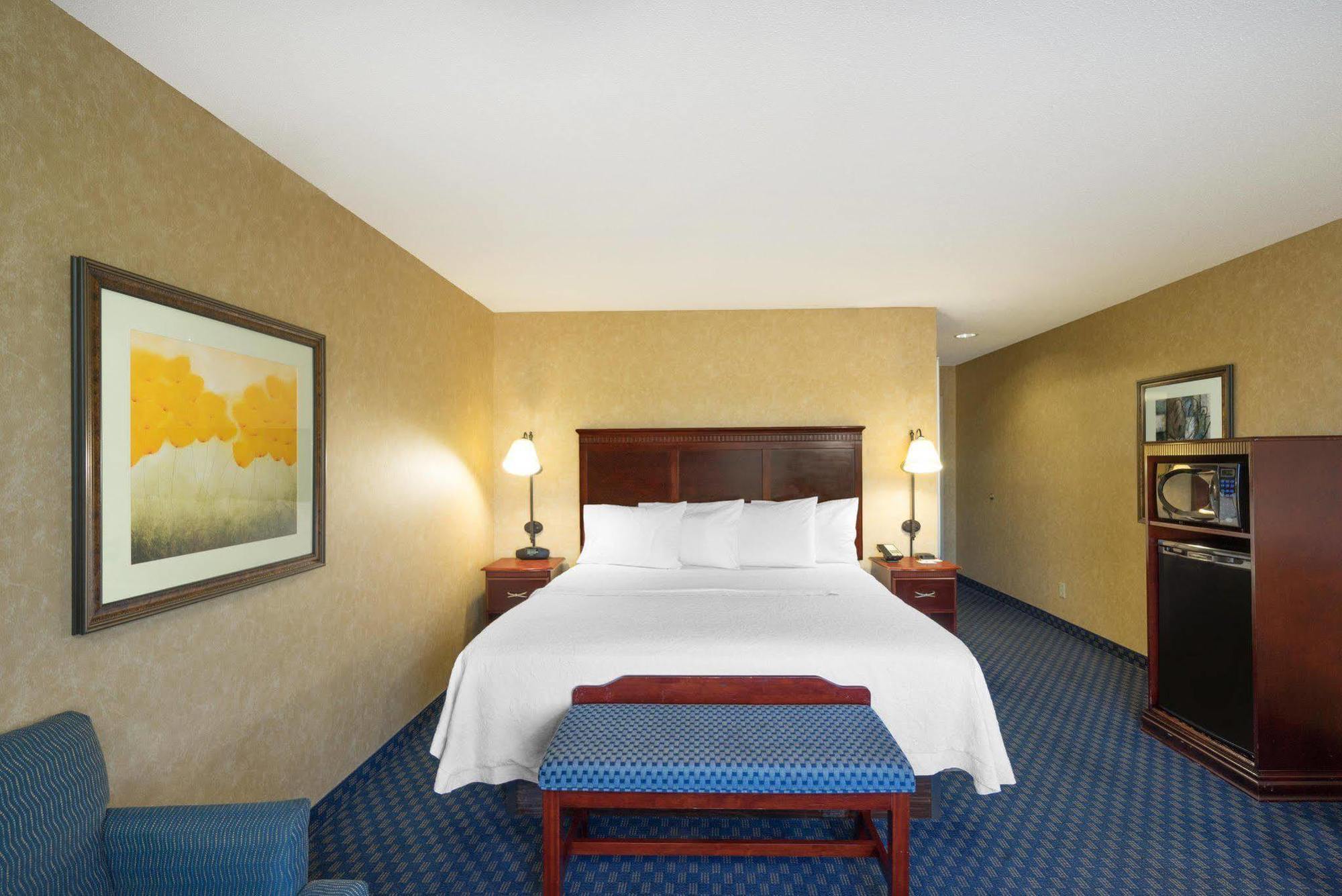 Hampton Inn Maysville Zewnętrze zdjęcie